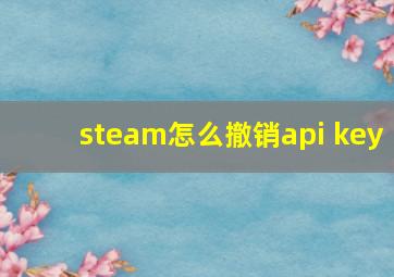 steam怎么撤销api key